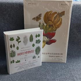 树叶博物馆（赠品盒装版）