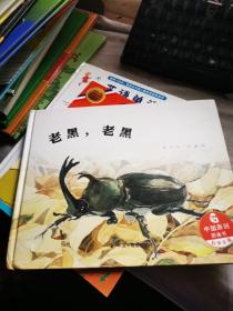 中国原创图画书：老黑，老黑