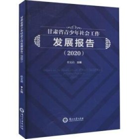 甘肃省青少年社会工作发展报告:2020