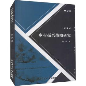 乡村振兴战略研究赵政西北工业大学出版社