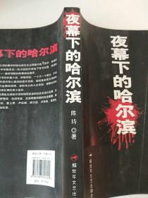夜幕下的哈尔滨