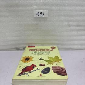 我的自然笔记：找寻一种探索周围世界的新途径