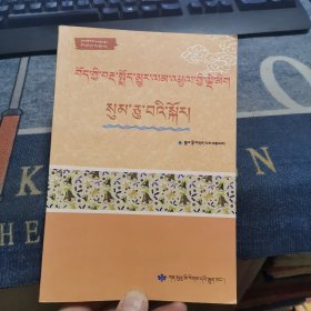 新编藏语文文法强化训练【藏文】（外品如图，内页干净，近9品）