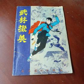 《武林掇英》(中国武术连环画)  16开，87年1版1印  品见图
