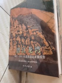潜江龙湾：1987~2001年龙湾遗址发掘报告（全两册）BH