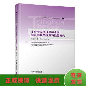 多尺度级联场增强金属纳米结构的构筑和性能研究