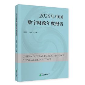 【正版新书】2020年数字财政年度报告