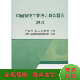 中国钢铁工业统计调查制度 2018