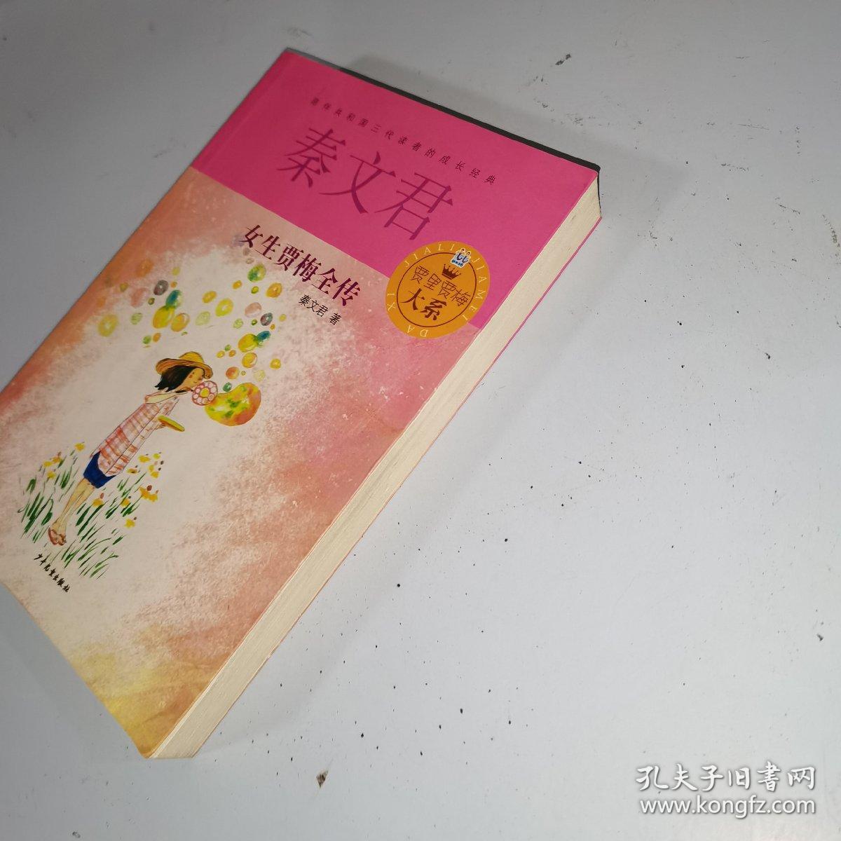 贾里贾梅大系:女生贾梅全传