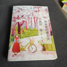 我喜欢的那个人就是你 2