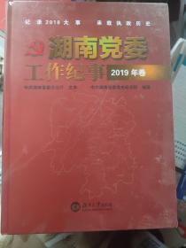 湖南党委工作纪事2019年卷