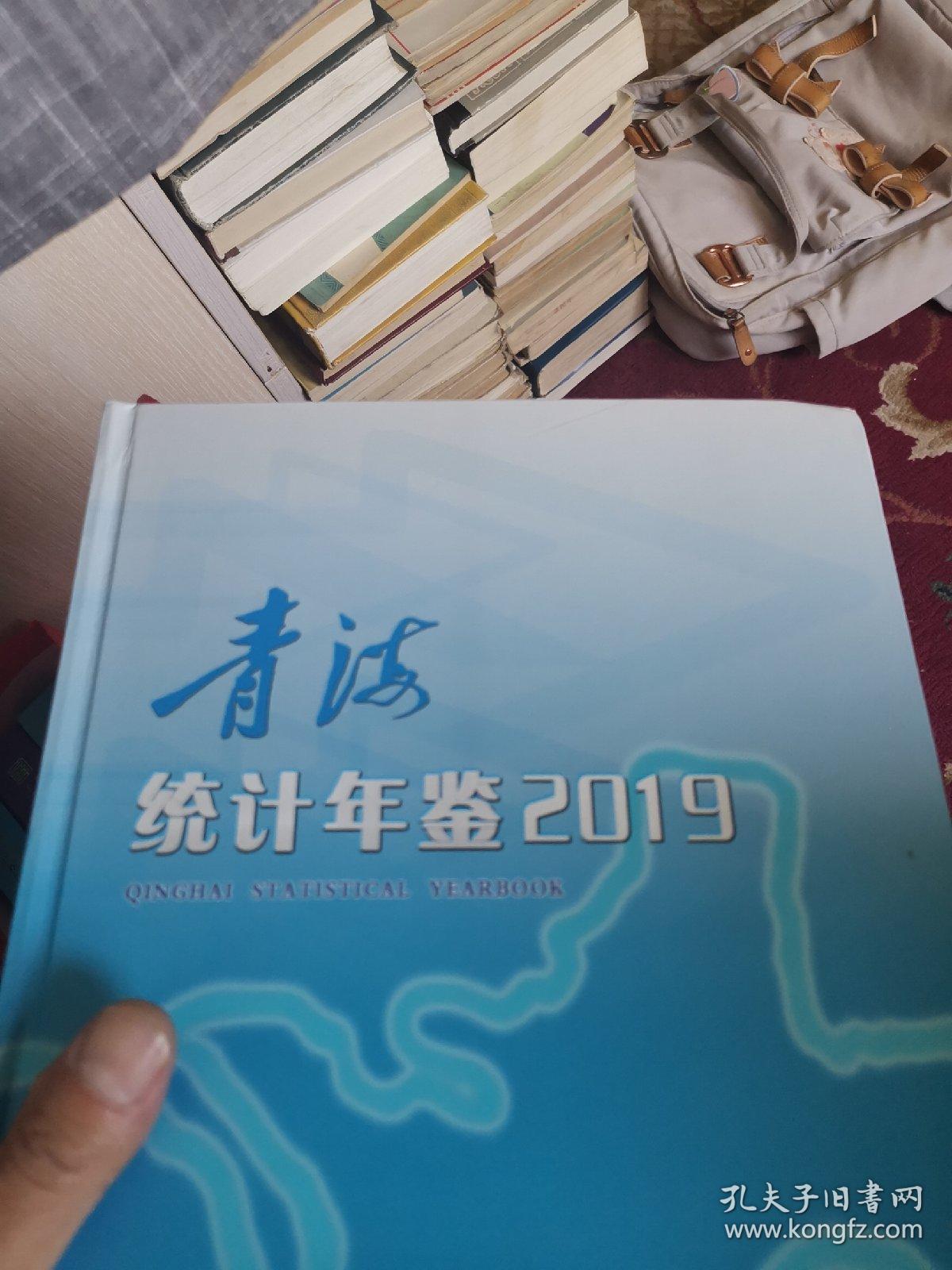 青海统计年鉴2019附光盘外品如图内页全新95品左右