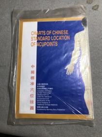 中国标准穴位挂图
