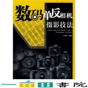 数码单反相机摄影技法丁海关著中国铁道出9787113090180