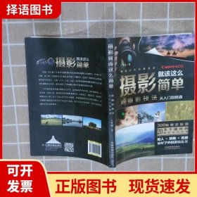 【正版现货】摄影就该这么简单：新摄影技法从入门到精通王冬斌中国铁道出版社9787113199920