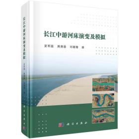 长江中游河床演变及模拟 夏军强著夏军强科学出版社