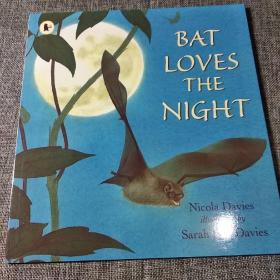 Bat Loves The Night