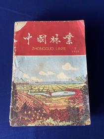 中国林业（1959年第1、2、3、4、5、6、7、8、9、10、11、12、13、14、15、16、17、18、19、20、21、24期）22册合售