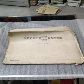 五脏之间主要生理病理关系示意图