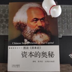 资本的奥秘 : 图说《资本论》