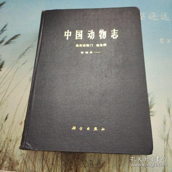 动物志