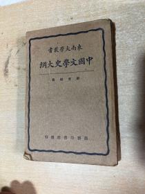 东南大学丛书：中国文学史大纲  大32！