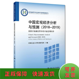 中国宏观经济分析与预测（2018-2019）（哲学社会科学系列发展报告）