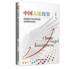 中国天使投资:创新驱动下的市场机制与政策体系研究