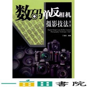 数码单反相机摄影技法丁海关著中国铁道出9787113129187
