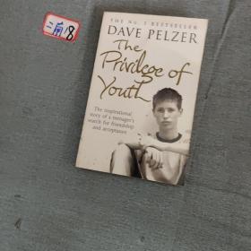 The Privilege of Youth by Dave Pelzer 、