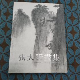 张大昕画集