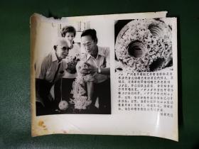 老照片：广州象牙雕刻艺术家翁荣标作品