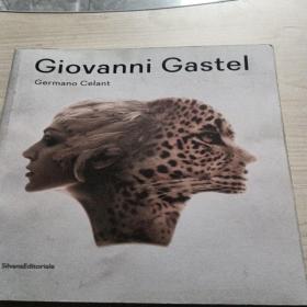 Giovanni Gastel /Germano Celant Silvana