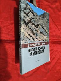 塔里木盆地寒武系—奥陶系海相碳酸盐岩储层地质剖面图集   （8开，精装，未开封）