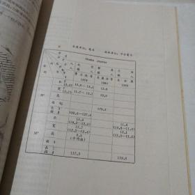 云贵川古人类旧石器时代考古经验交流会文集