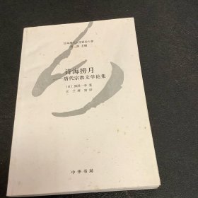 诗海捞月：唐代宗教文学论集