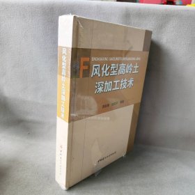 【库存书】风化型高岭土深加工技术(精)