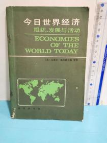 今日世界經濟：組織.發展與活動