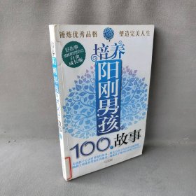 培养阳刚男孩的100个故事（白金成长版）黄晓宁