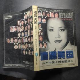 遭遇美国――陈燕妮采访录:50个中国人的美国经历 ，下卷
