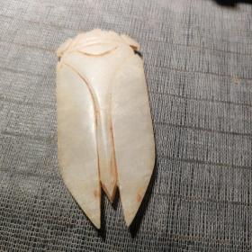 古玉八刀蝉