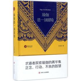 瑜伽是一场冒险 宗教 王志成 著 新华正版