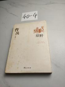 原野(下)：中国现代文学百家