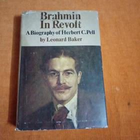 Brahmin  In  Revolt