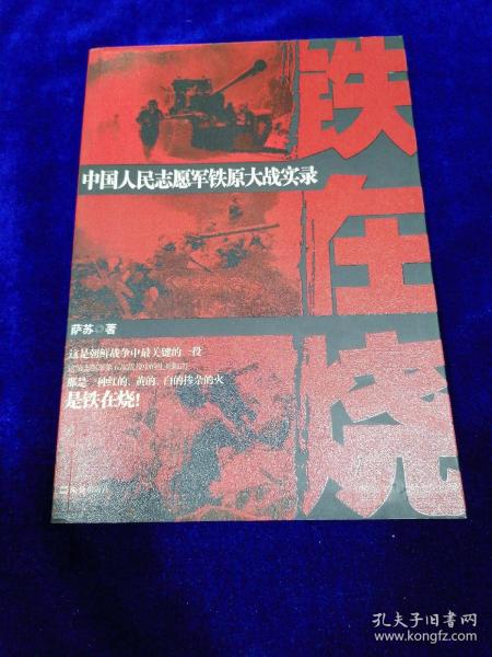 铁在烧：中国人民志愿军铁原大战实录