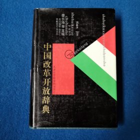中国改革开放词典