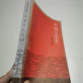 中国文化史(下册)