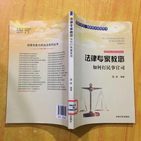 法律专家为民说法系列丛书：法律专家教您如何打民事官司
