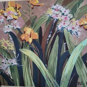 著名画家张蕊底稿