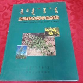 苏尼特左旗草地植物 : 蒙古文